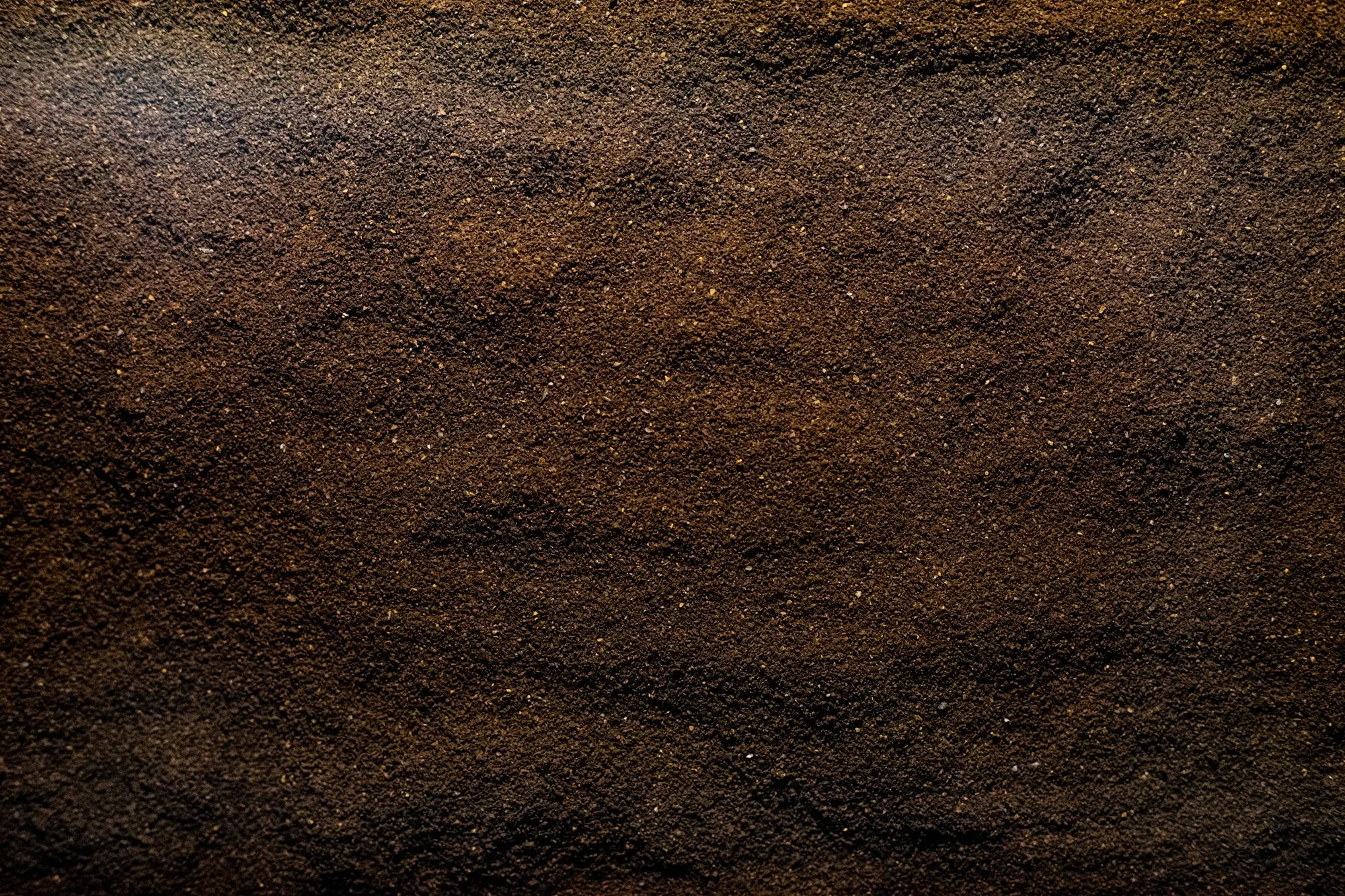 Close-up of coffee grounds